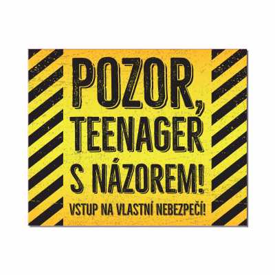 Cedulka na dveře - Teenager s názorem ALBI ALBI
