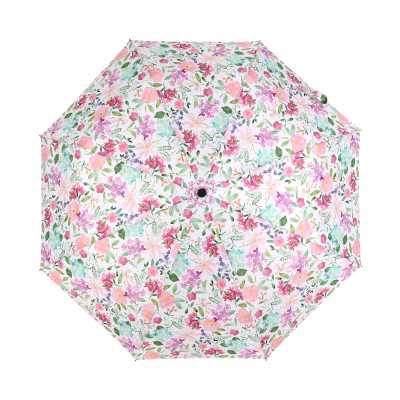 Deštník - Hortenzie ALBI ALBI