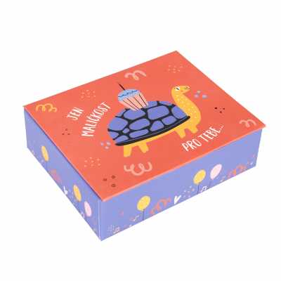 Hrací krabička - Želva ALBI ALBI