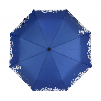 Deštník - Modrá květina Albi Albi