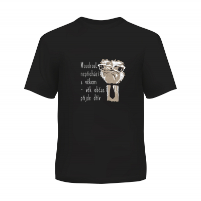 Pánské tričko - Moudrost nepřichází s věkem