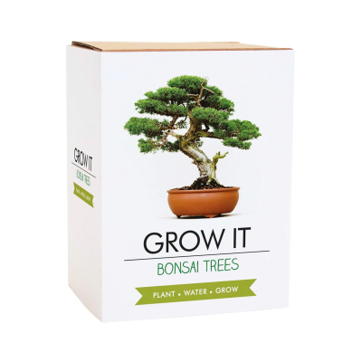 Grow it - Bonsai Gift republic Gift republic