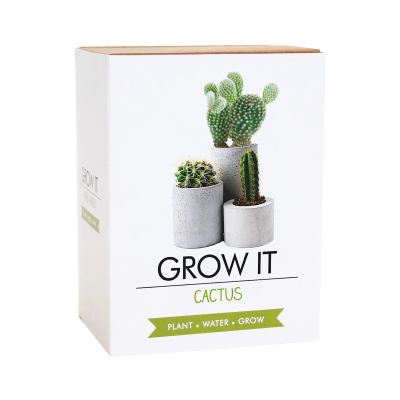 Grow it - Kaktus Gift republic Gift republic